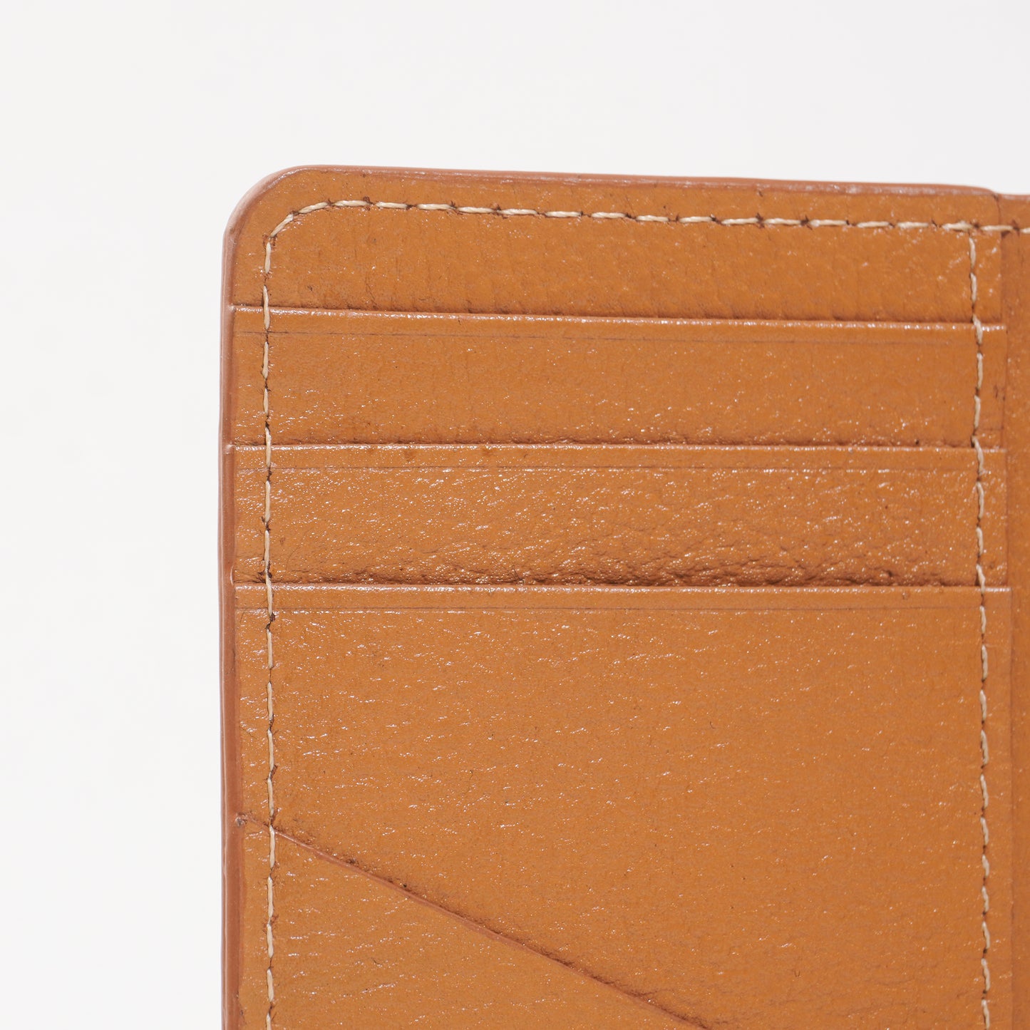 Magnetic Majestic Case
