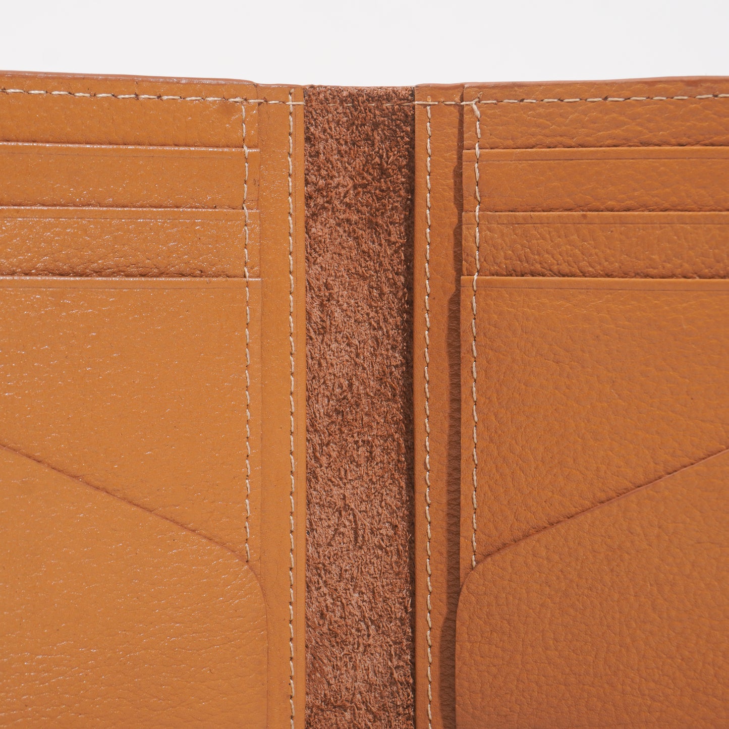 Magnetic Majestic Case
