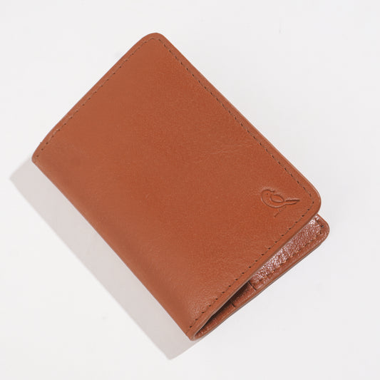 Magnetic Majestic Case